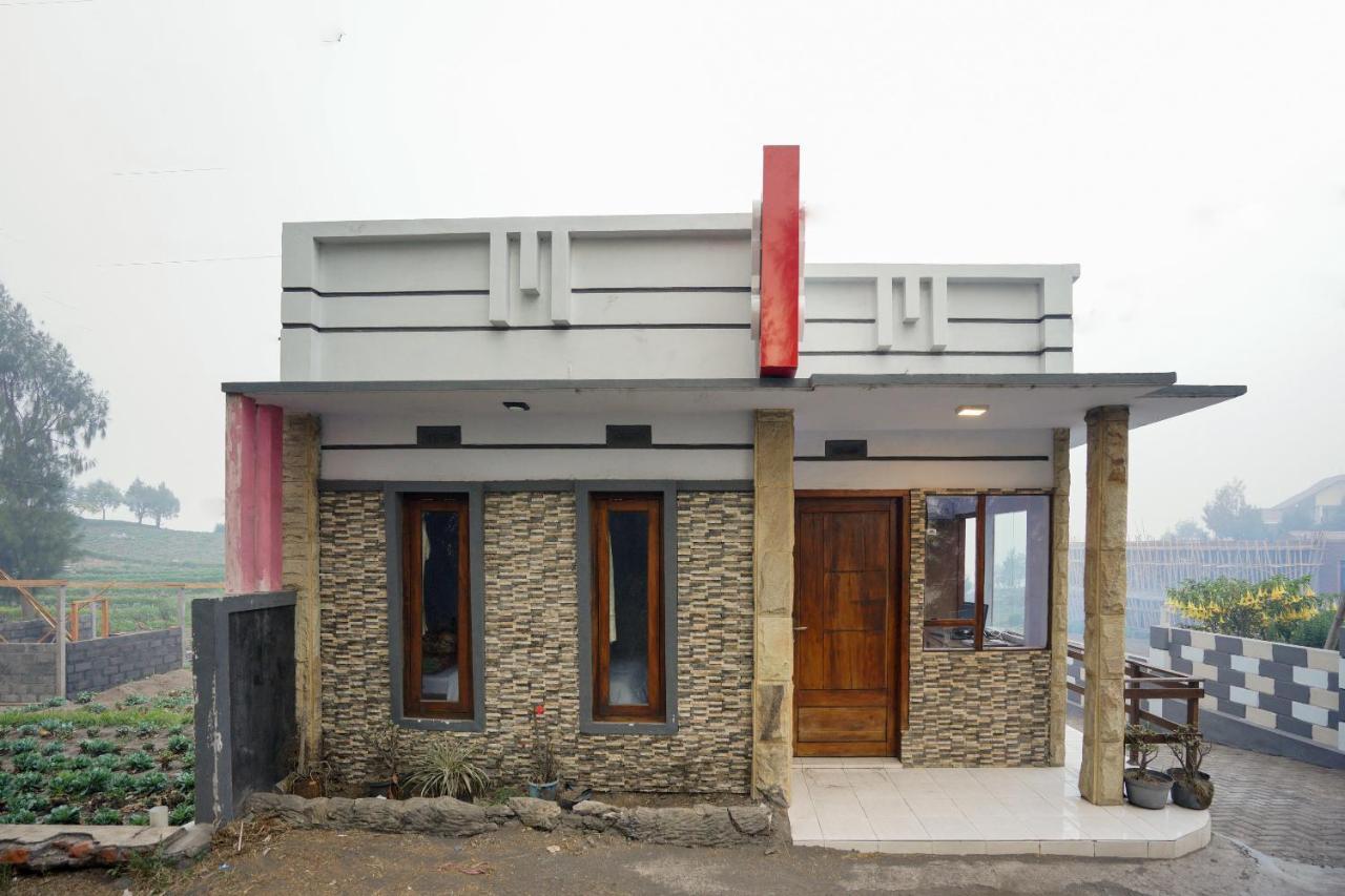 بروبولينغو Oyo 2120 Pieter Homestay Bromo المظهر الخارجي الصورة